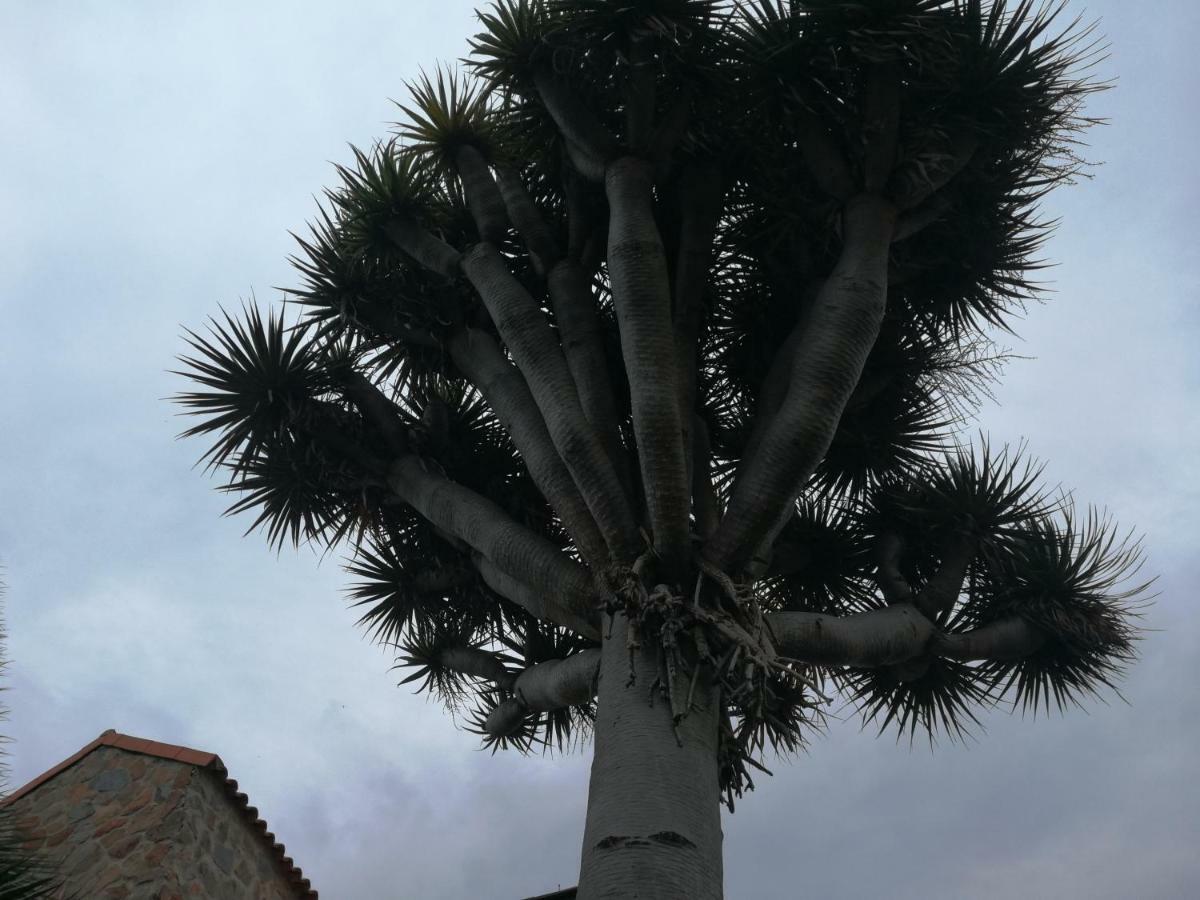 Apartamento Casa El Drago Las Palmas de Gran Canaria Exterior foto